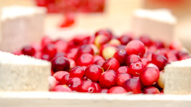 �������� ������� ������ �������� ��� ���������� ������� � ������� ��������