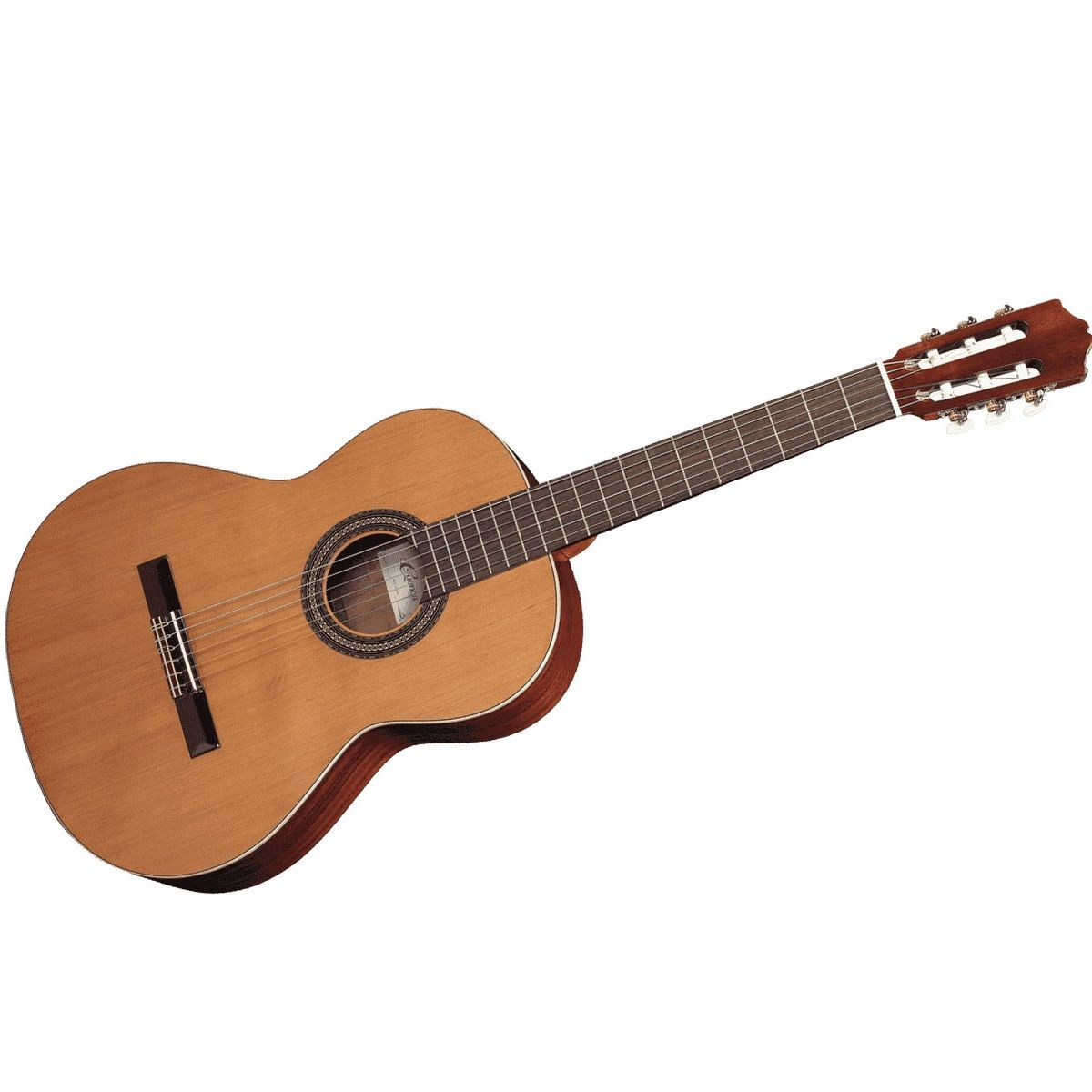 � �������� ���� ������ ����������� �������� ������