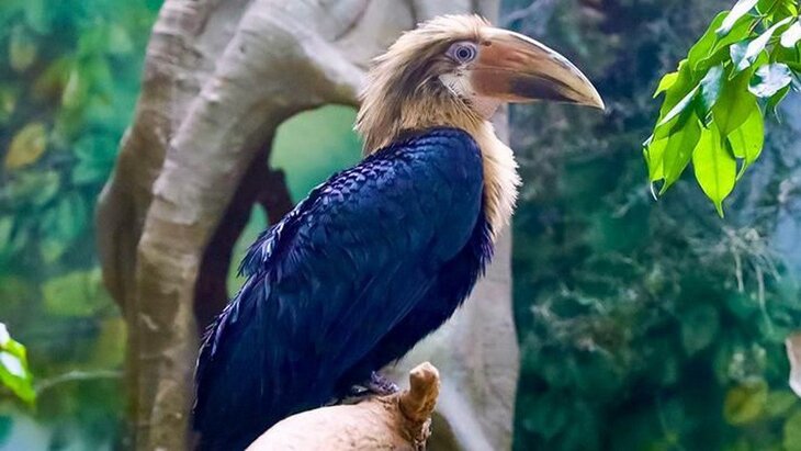 ������ ����������� ����� ������ ����� ������� � ���������� ��������