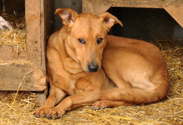 ������� �������� �� ������!