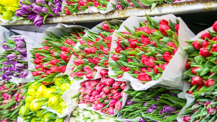 � ���������� ���������� ��������� ������� ��������� ������ � 8 �����