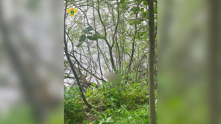 �� ����� ���� �� ����� ����������� ���� ������� � ������� �� ���-������� ������