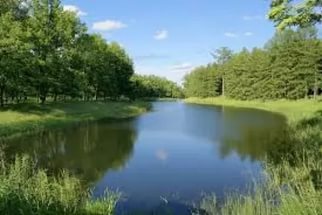 ������ ����� ���������� ������� �� 5 ��� ������