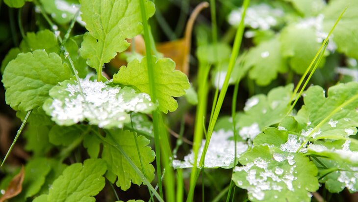 ��������� ��������� � ������ � ���� �� 6 ���