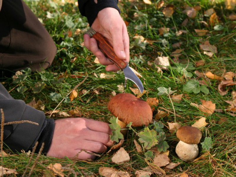 ��������� ������ �������� �������� �����