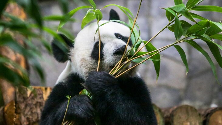 ���������� ����������� �������� �� mos.ru ���������� ����� 1 ��� �������