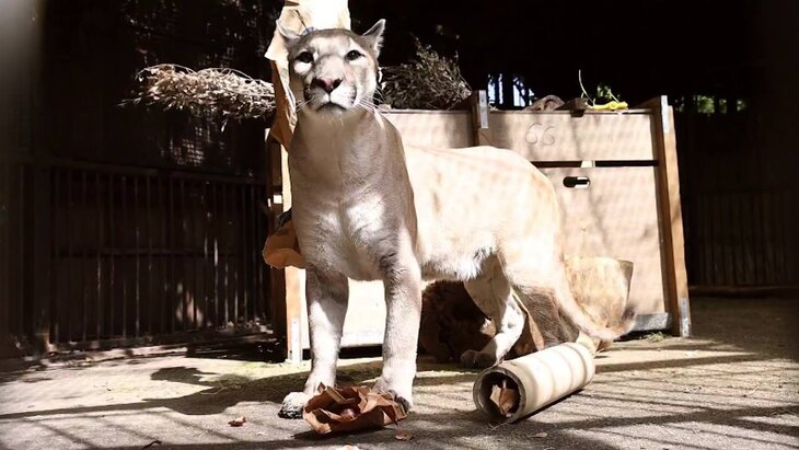 ������� � �������� ���� �������������� � ����� � ���������� ��������