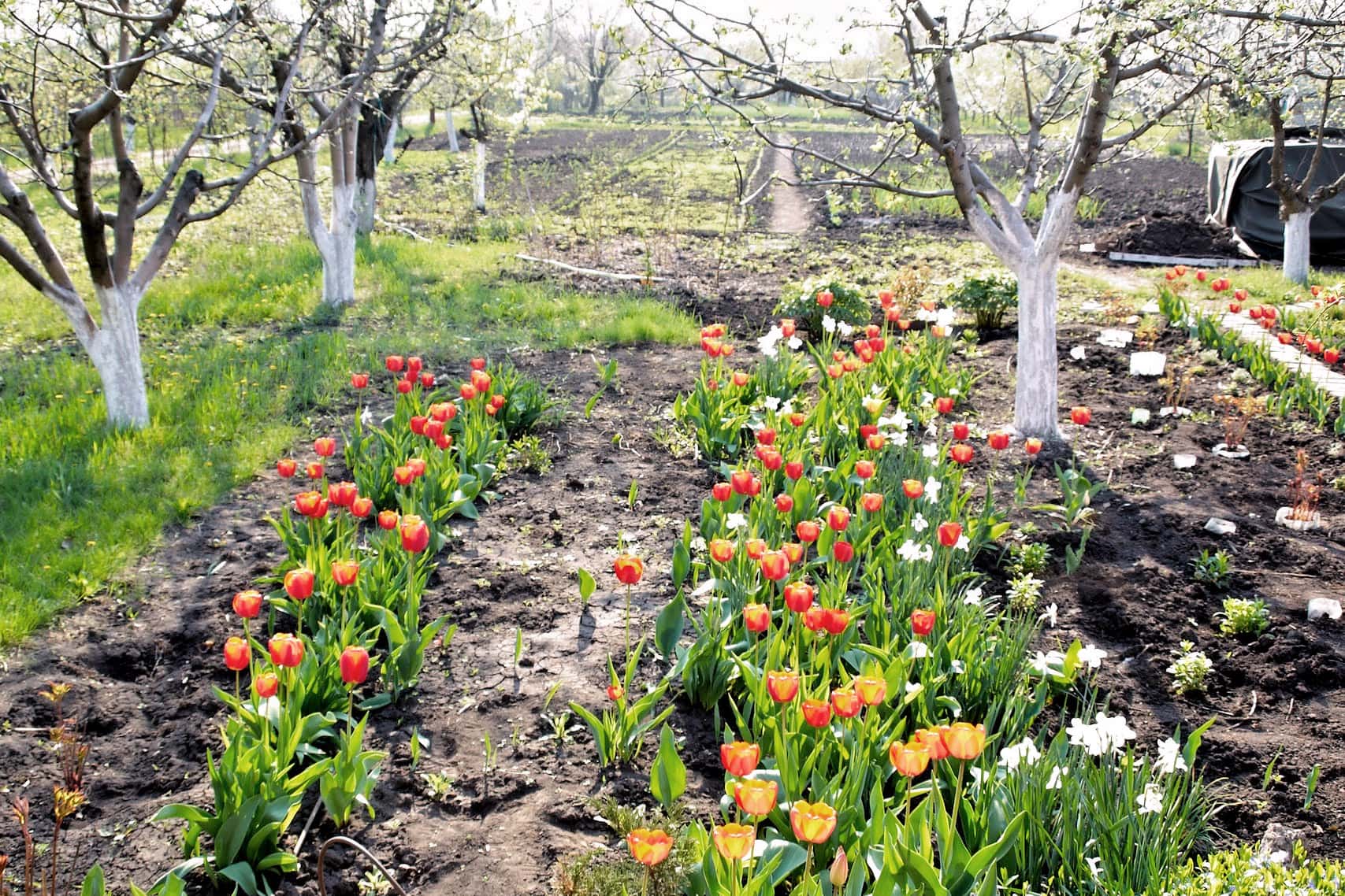 ����� � ������� �����