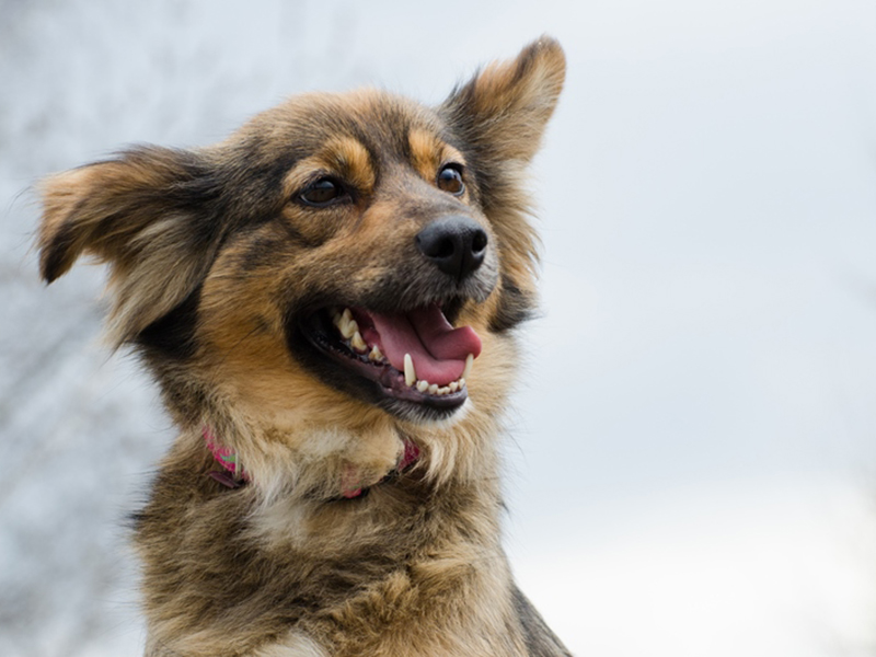 �� ���������� ���� ��������� ����������������� ��������� ��������� ��������