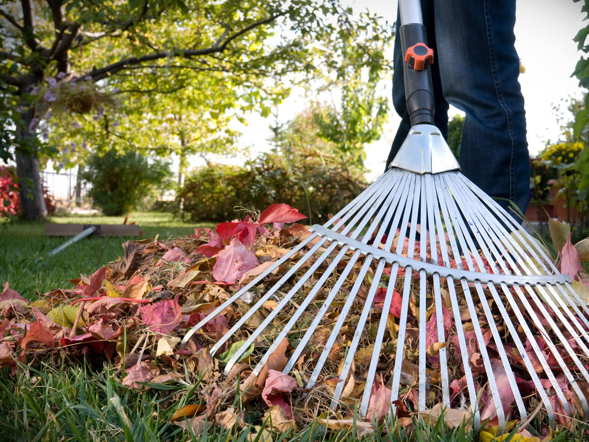 �������� ������� ��������� ������� � ��������� ������