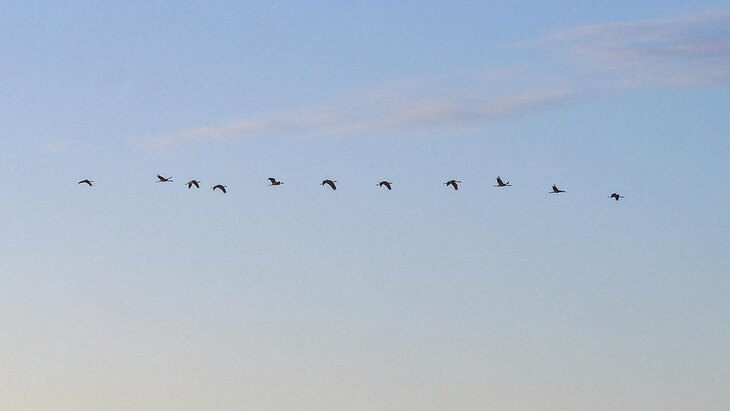 ���������� ����� ������������ � �������