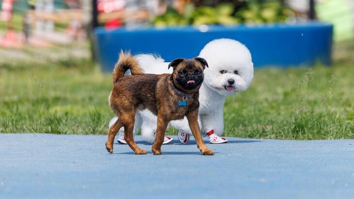 �������� ����������, ��� ������� ������ � �������� �� ����� ��������