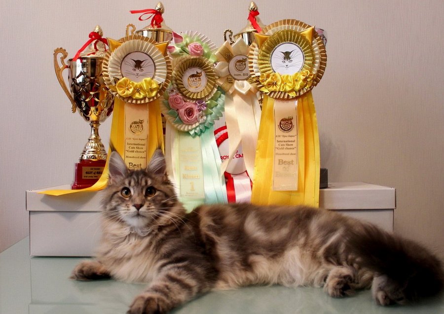  ��� "����������" ���������� �� �������� ����� ������-����