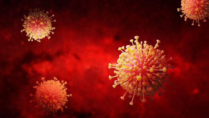 ������� ��������, ������ ������ ���������� COVID-19 � ����� �����