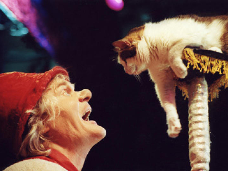 �������� � ������ ���� ��������� ��������� � ����������������� �������