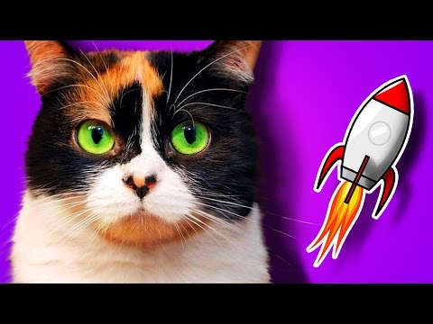 �������� �� ����� ��� ������������ ����� ������������� ��� �������� � ����