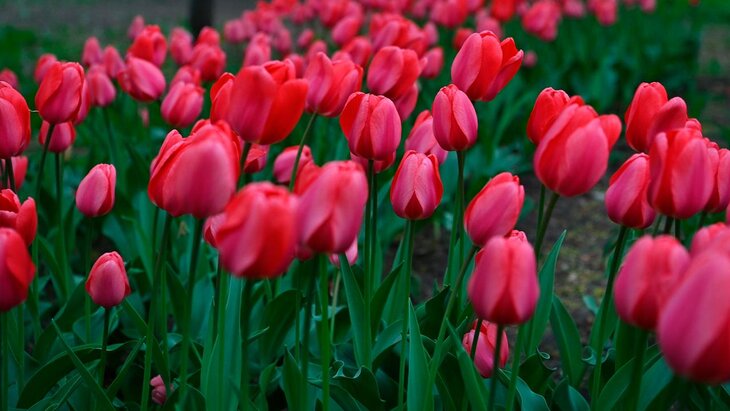 ����� 170 ��� ��������� � ���� ������� ������ �� ��� ������