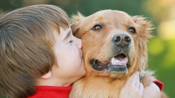 ���� ���������, ��� ������� ���� ��������� �������� �� �������� � �������