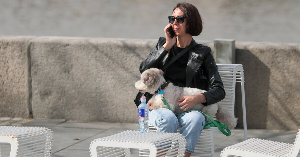 �������� ��������� ��������� ���������� �� ���� 20 �������� � ��������