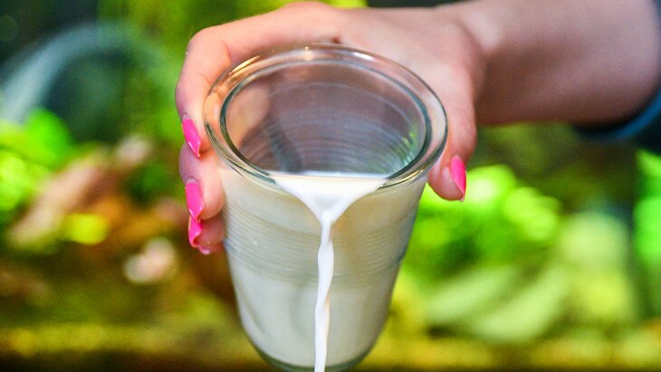 � ��������� ����� 33 ����� ��������� �������� ���������