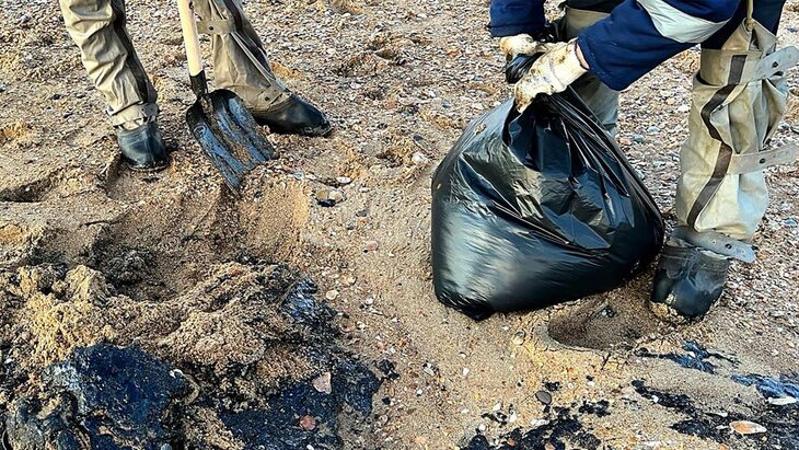 ����� 20 �� �������� ����� ��������� �� ������ ������ �� ������ � ����� �������� ������