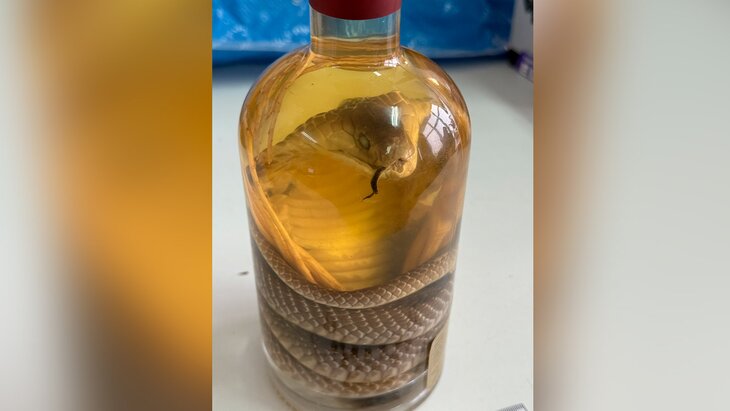 ��������� ����������� ������ ������� ���� � ���������� �� ��������