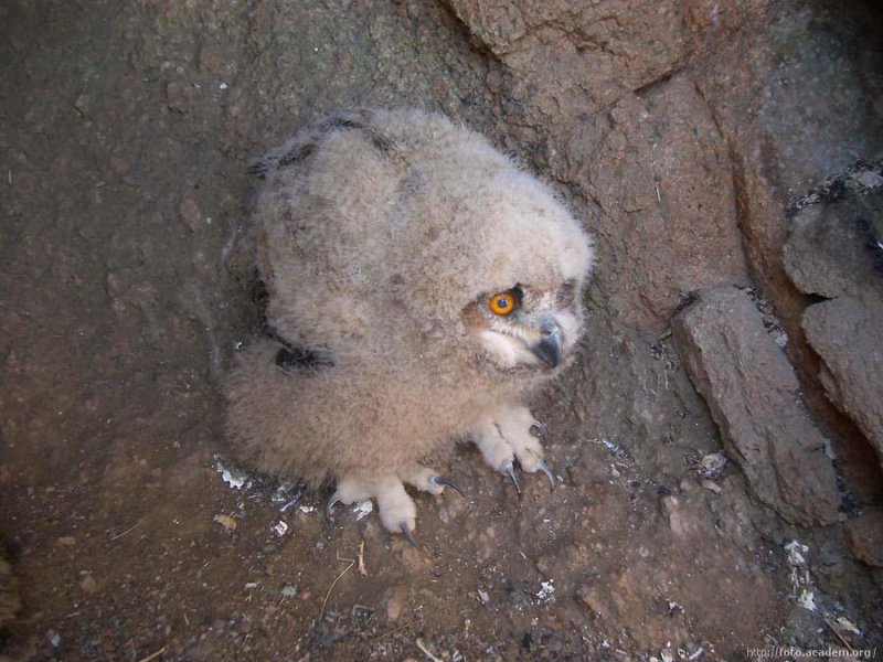 � ������� � ���������� �������� �������� �������