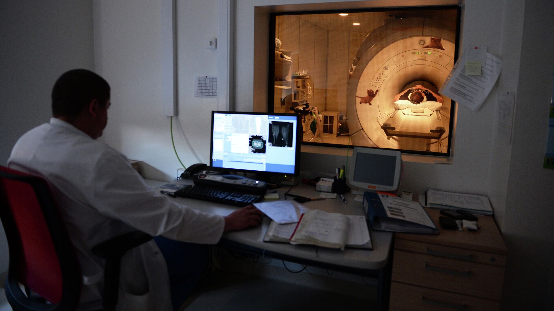 ���������� ����������� �������� � ������� ����������� ����� �� ���