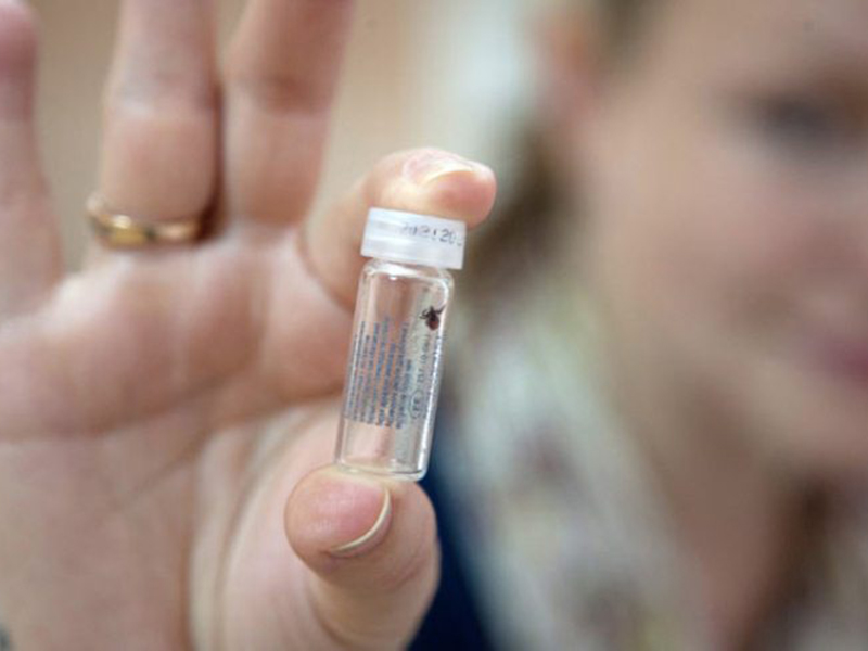 ����� 580 ������� ������� ���������� � 5 �� 11 ������� �� ������ ������  