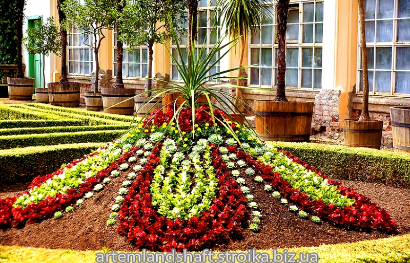 ��� ������ ��������?