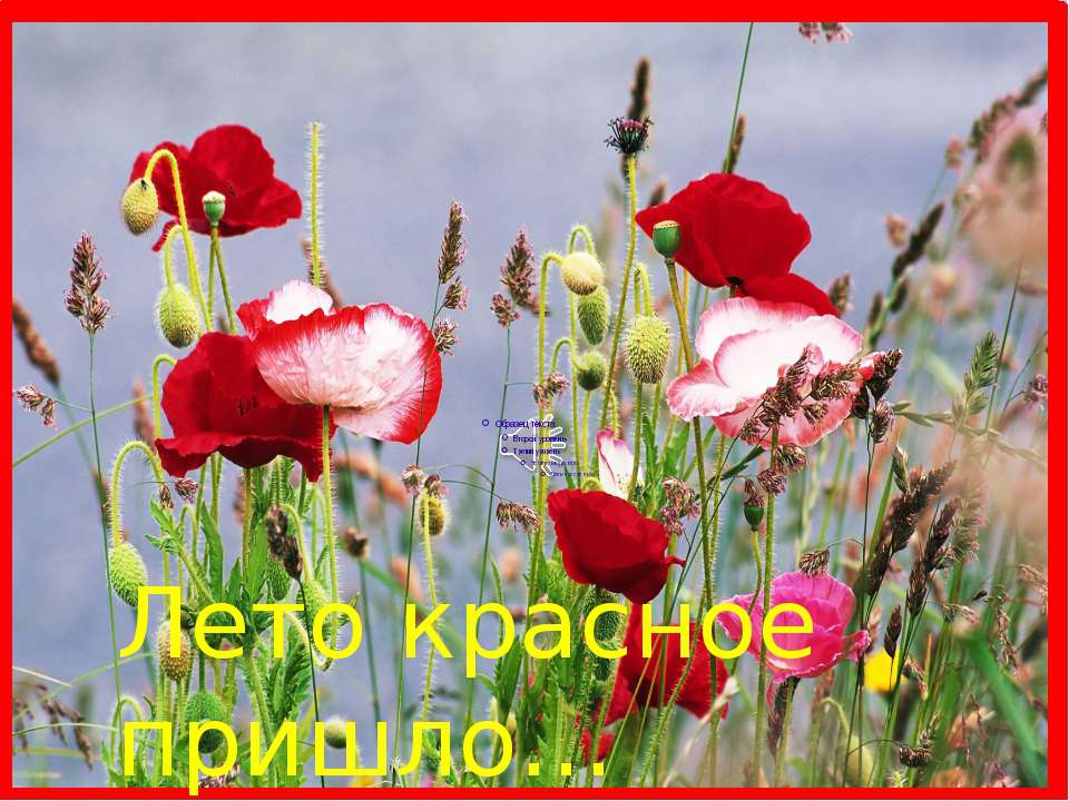 "������� ����" � �����������