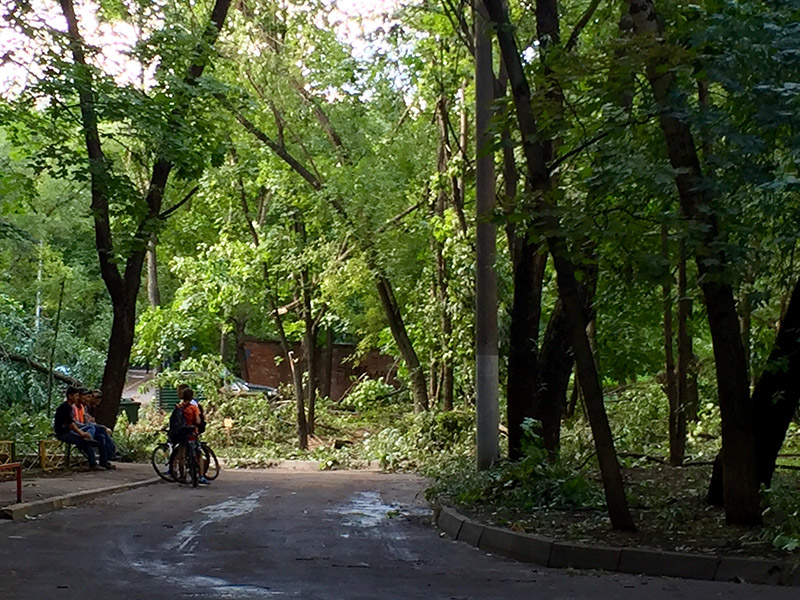 � ������ ������� ��������� ����������� ���������� �����