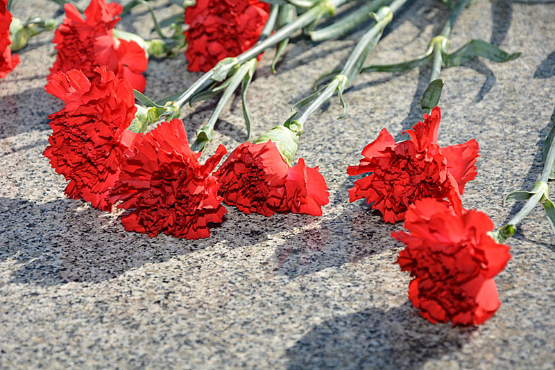 � ������� ������������ ������� ������ - 40-����� ���������� ������