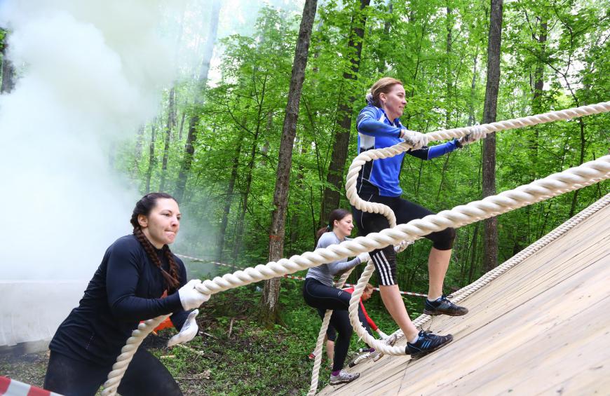 ������ ������� ��������� � ��������� �����������