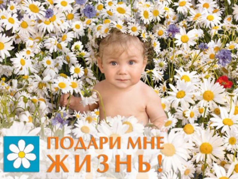 � ������� ������������ �1 ������ ������� ������� ���� ������