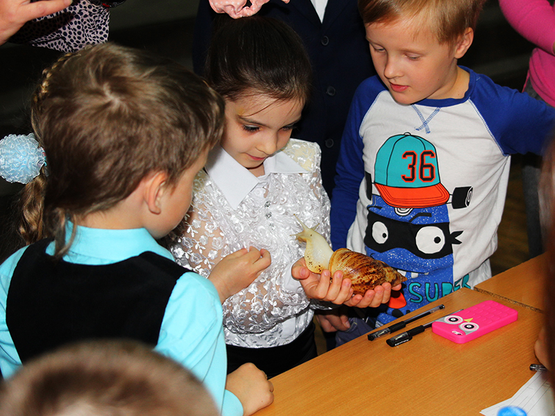 � �������� �1576 ������ ������� ���������� ����������� ��������� �����