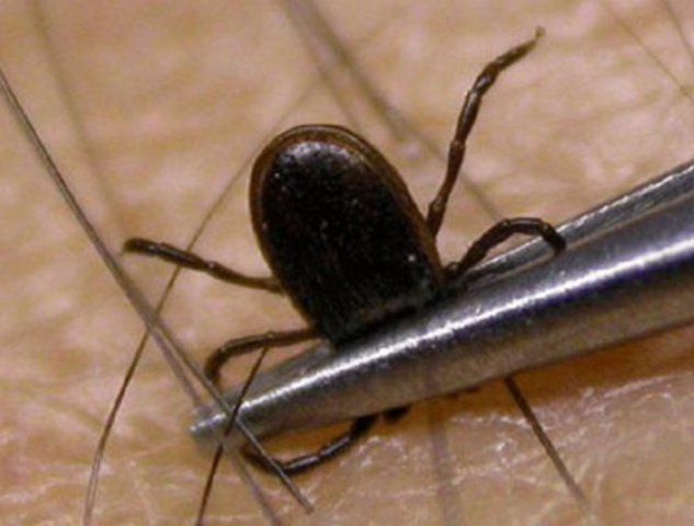 � ����������� � ������� ��� � �������