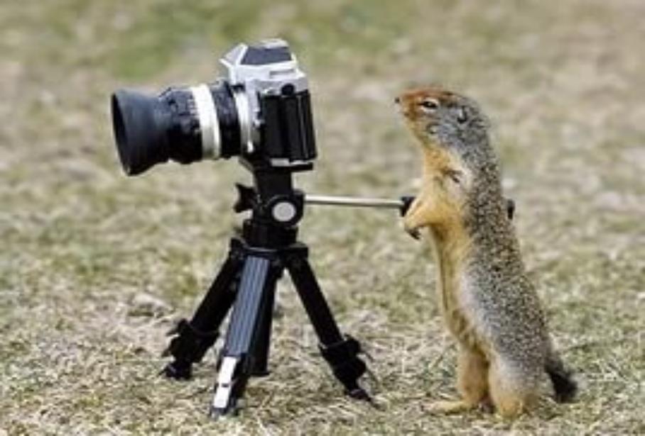 � ����� ��������� ������� ���� ���������