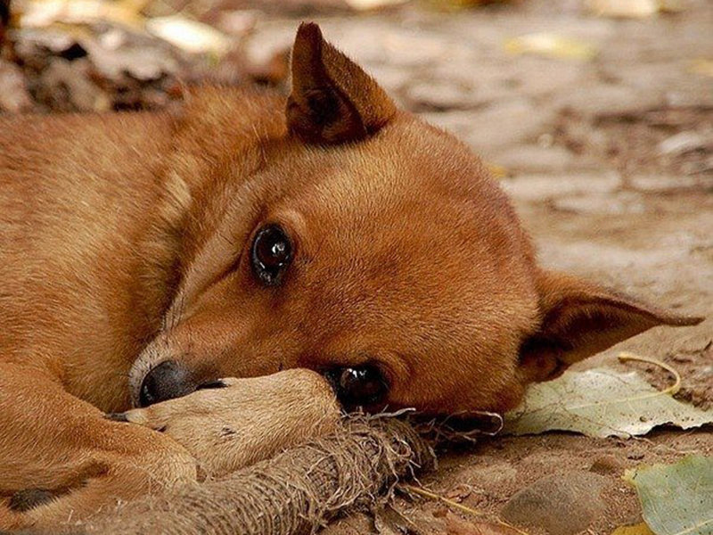 ���������, ��������� ����� �������� �� �����, ����� ����������