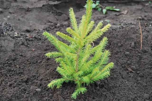 � �������� ����� ������� ������ �������� ����������� �������