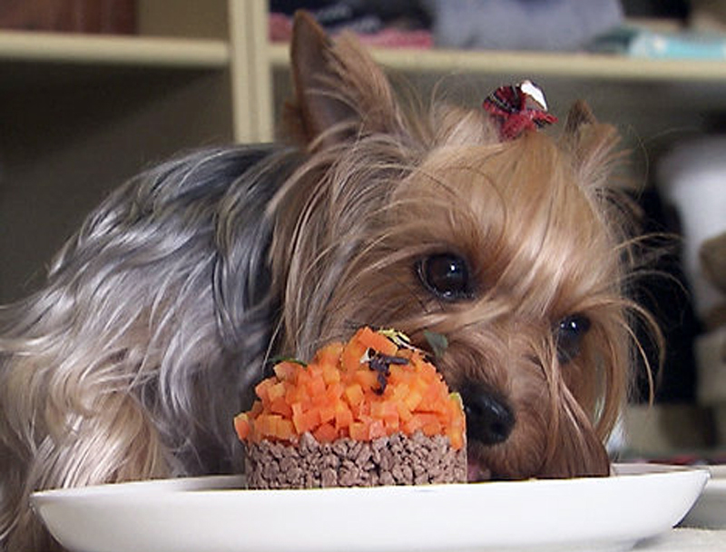 ��������� ���� ������� ��������� ���� ��������