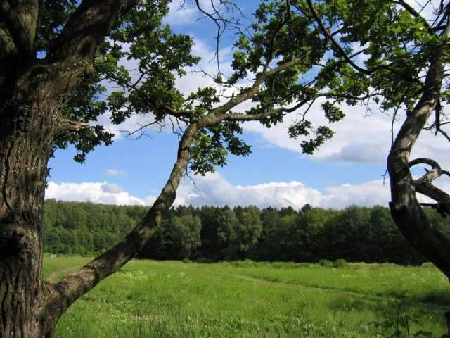 � ������ ������� ������ ����� ������� ���� ������������ ������� ��������� ������