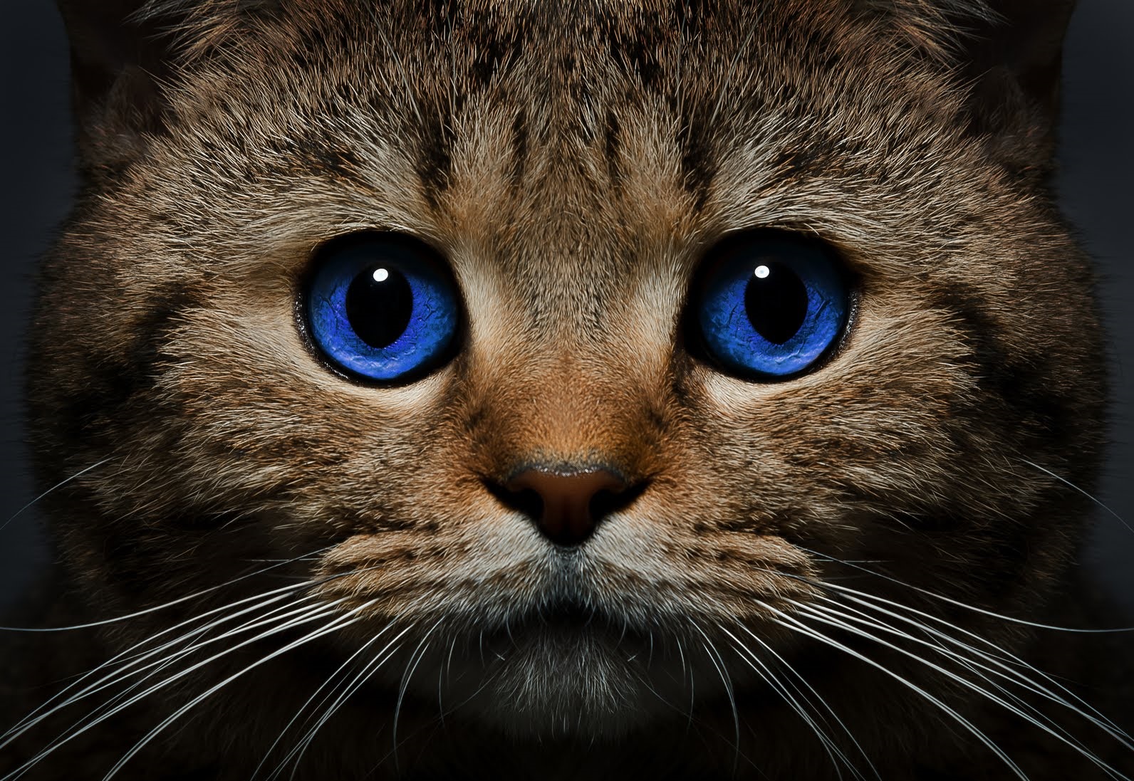 � ��������� ���������� ���������� �� ���� �����