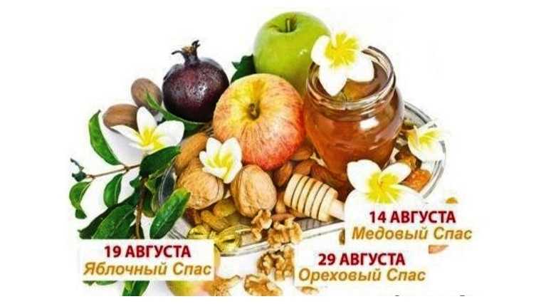 ��� ������������ ��������� � ������� - ��� �����