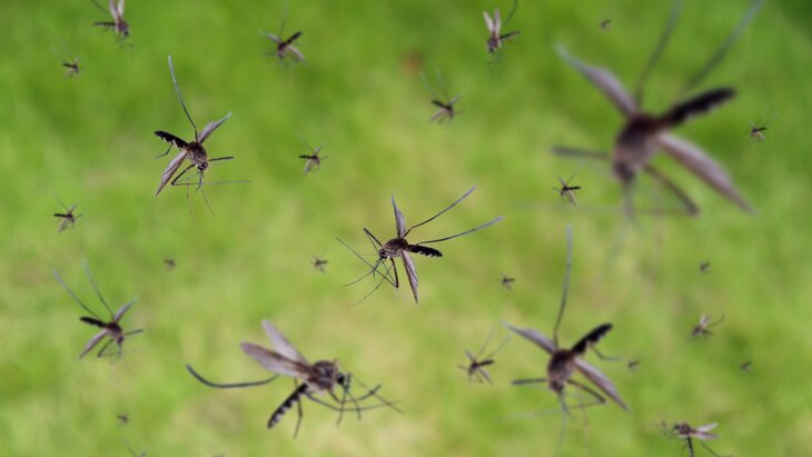 �������� ������ ������� � ����������� ������ ���������� � ���