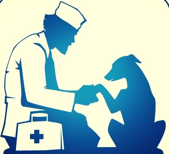 � ����������� ����� ���� ������