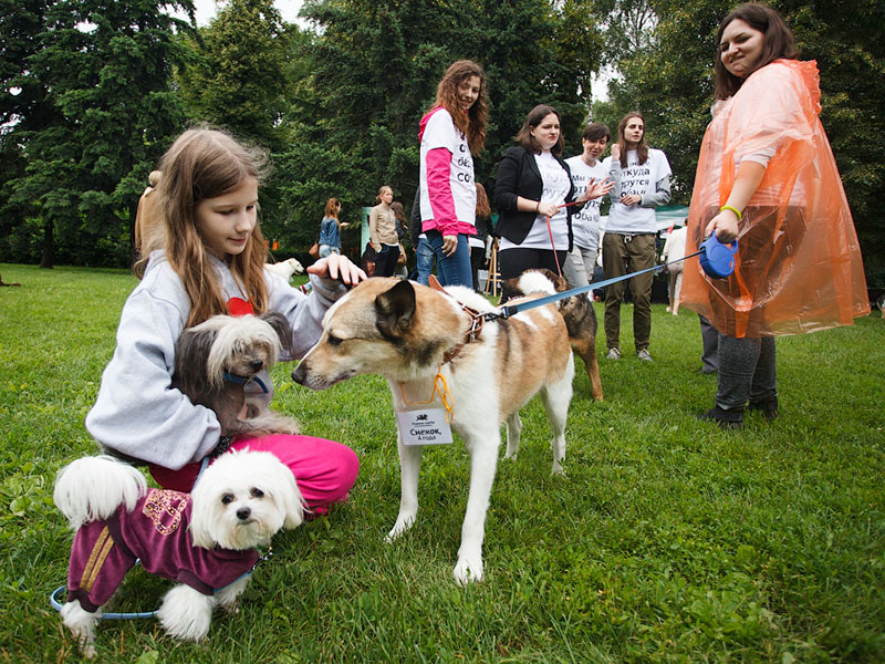 �������� ������ ����� ������ ����� � ����� ���������