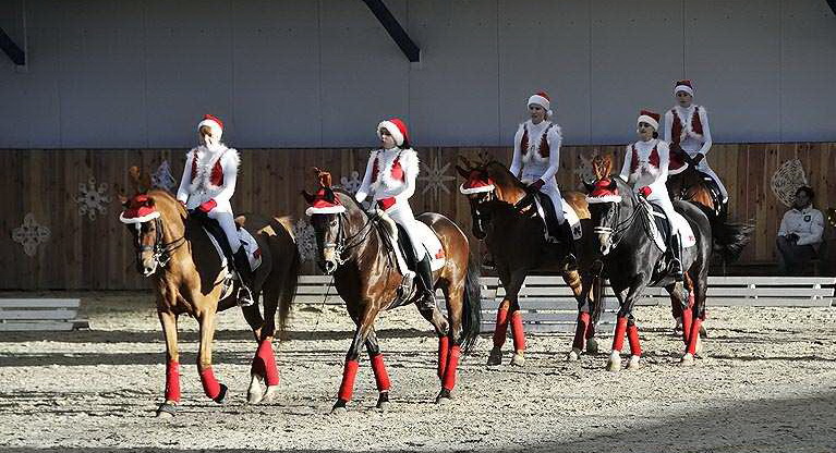 �������� � ������������ ��������