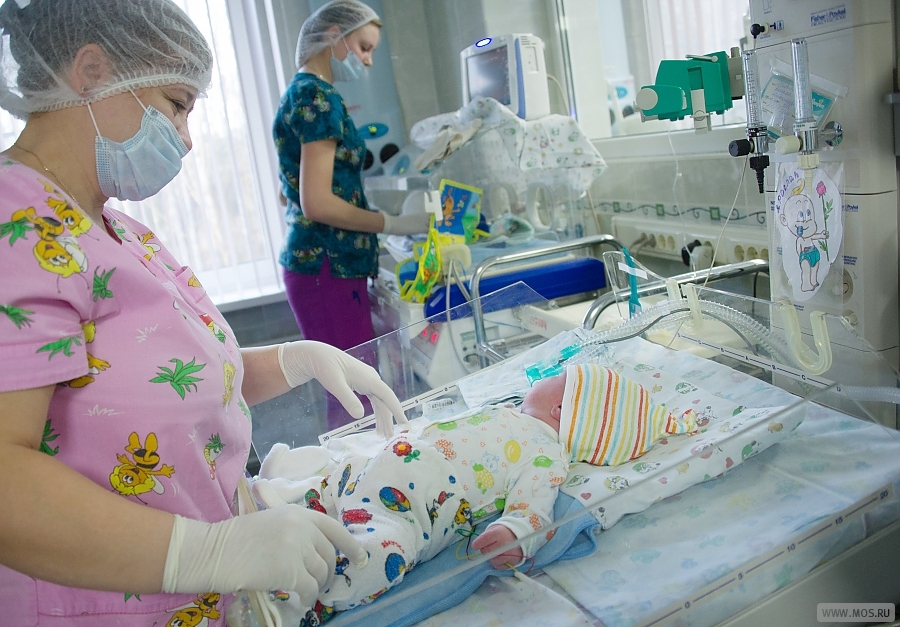 ������ �������: ������ ��������� ����������� ��������� ����