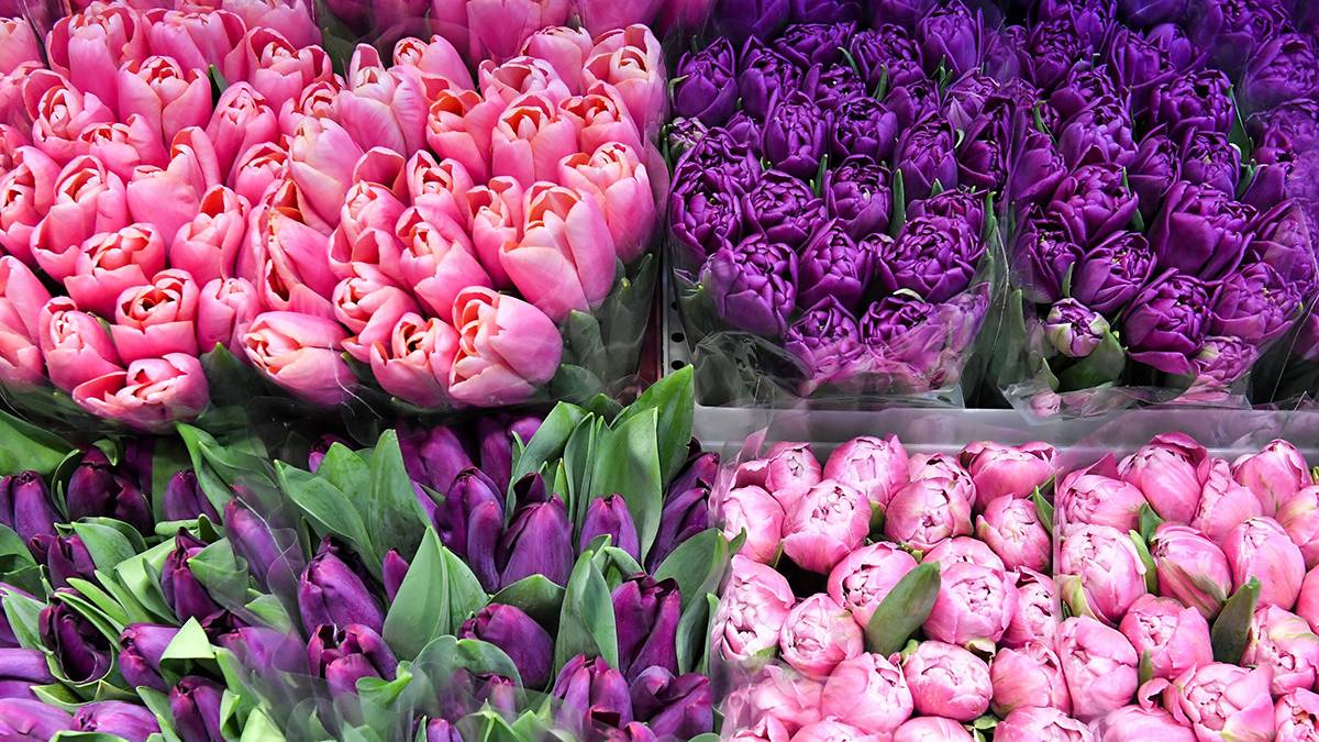 Цветочную инсталляцию установили в ММКЦ «Коммунарка»